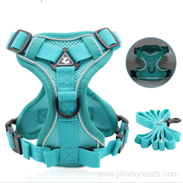 Professional Dog Harness And Leash Set